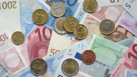 Euro-Münzen und Euro-Banknoten