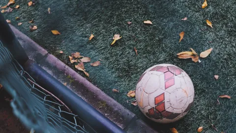 Fußball auf einem Kunstrasenplatz neben dem Tornetz