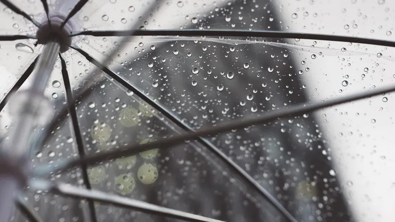 Durchsichtiger Regenschirm mit Regentropfen, von unten gesehen